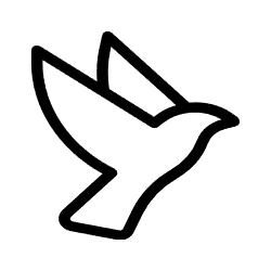 Digital  Aasiya Kachwala